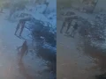 کراچی میں قانون کے رکھوالے بکرا چور نکلے 7 پولیس اہلکار معطل